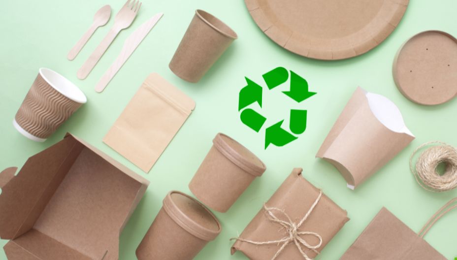 Eco-friendly Alternatives