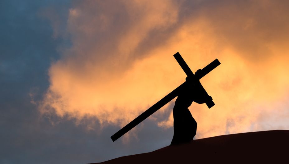 holiday - Hero Image 2